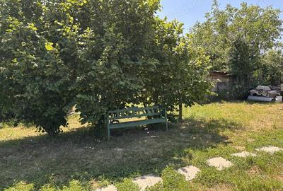 Teren în Viile Satu Mare - 4