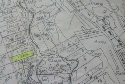 Teren de 18800 mp, în Arpașu de Sus - 5