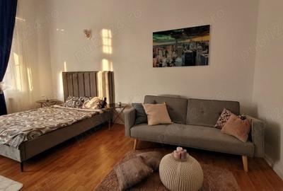 Garsonieră semidecomandată în Ultracentral - 9