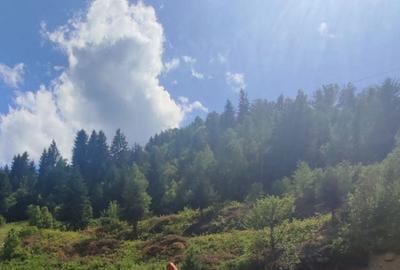 Spațiu comercial, în Baba - 1