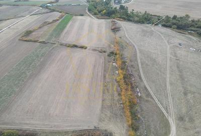 Teren arabil Intravilan 11600mp | LmP | Remetea Mare | COM 0% Teren arabil Intravilan 11600mp | LmP | Remetea Mare | COM 0% - 2