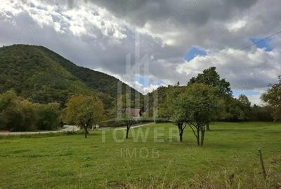 Teren intravilan cu Puz si priveli?te deosebita, spre Cetatea Cisnadioara - 2