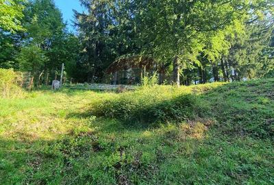 Teren cu Autorizatie de constructie/ Pensiune de lux ... Teren cu Autorizatie de constructie/ Pensiune de lux ... - 5