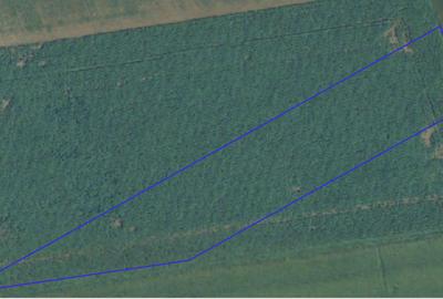 Teren agricol extravilan de 55566 mp, în Hărman - 1