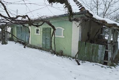 Casa cu Anexe, Gradina + 2Ha Terenuri - 7