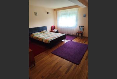 Vila spațioasă 5 dormitoare, Provita de Jos - 19