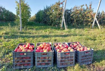 Teren de 3600 mp, în Bosanci - 3