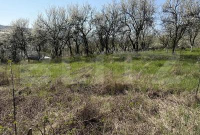 Teren de 2743 mp, în Crișeni - 3