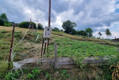 Teren de 1600 mp, în Gilău - 4