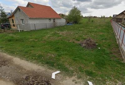 Teren constructii 2700 m2 Dumbrava Ro?ie - 3