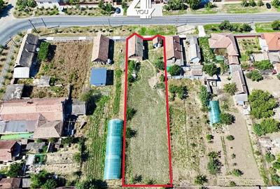 Proprietate cu poten?ial comercial ?i vizibilitate maxima in Macea - 4