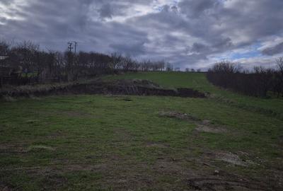 Teren de 5000 mp, în Valea Arini - 4