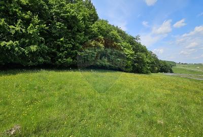 Teren agricol extravilan de 7000 mp, în Ilișești - 26