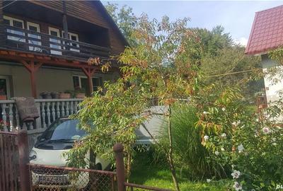 Casă cu Teren 2400 Mp în Cavnic - 12