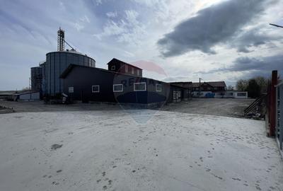 Teren Construcții intravilan de 73351 mp, în Sud - 2