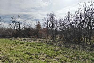 Teren de 1472 mp, în Lintești - 11