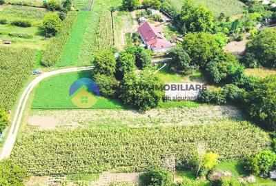 TEREN intravilan GIROV  4133 mp - 8