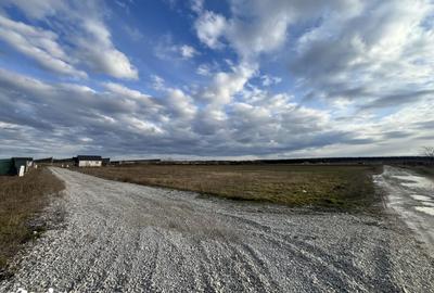 Teren de 11510 mp, în Sânmartin - 8