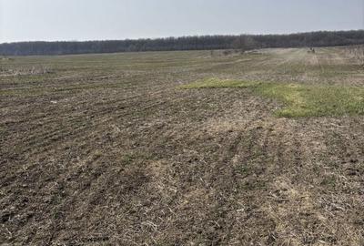 Spațiu comercial, în Grădiștea - 6