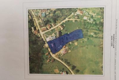 Casă cu Teren 2649 Mp în Vărbila - 1