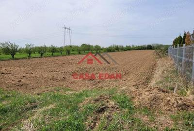 Teren extravilan in Banesti, 2400mp, 10e - 2