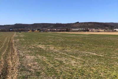 Teren extravilan de 4000 mp, în Mărăcineni - 9