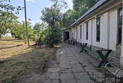 Ferma cu teren agricol de vanzare in Nadlac - 4