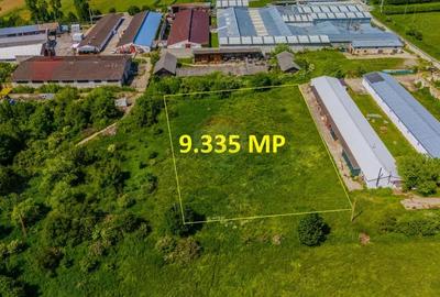 Spațiu comercial, în Teliu - 6