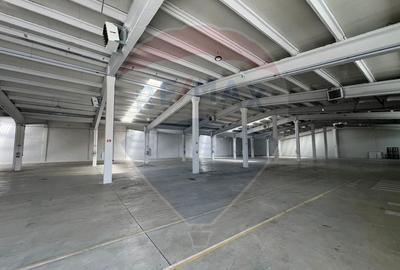 Hala renovata recent, modernizata, usi automate, pozitionare eficienta - 2