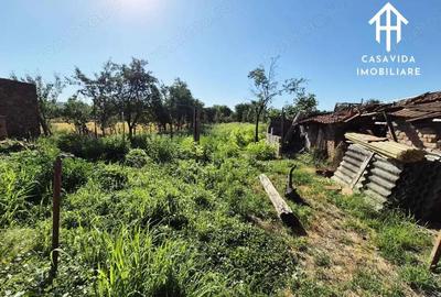Casa cu teren generos in Lugojel, jude?ul Timi? - 3