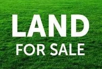 Teren de 533 mp, în Oarda - 3