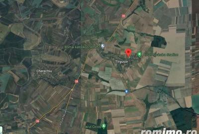 Cota de 5/8 din teren, Cherechiu, Judetul Bihor-id R1985778 - 3