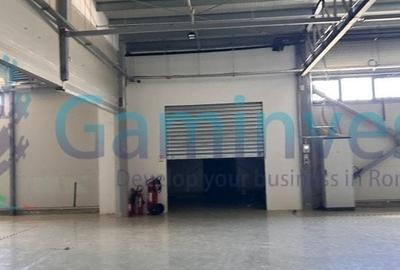 Gaminvest, Hala industriala de vanzare, Parcul industrial Bors, Bihor, V3766A - 3