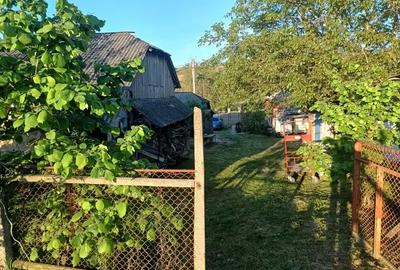 Casă cu 6 camere în Dumbrava (Gura Văii) - 4