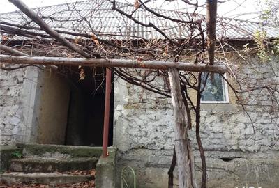 Casă cu 3 camere cu Teren 3850 Mp în Ciurea - 3