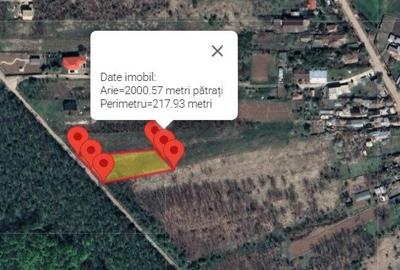 Teren Construcții intravilan de 2000 mp, în Gruiu - 5