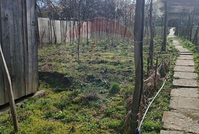 Casă cu 3 camere cu Teren 773 Mp în Târnava - 7