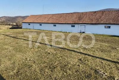 Casă cu 3 camere cu Teren 5039 Mp în Pianu - 2