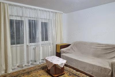 Apartament cu 2 camere semidecomandat în Budeasa - 8