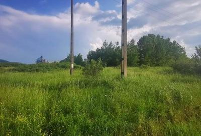 Teren intravilan 5 hectare comasat Bocsa 6 euro mp negociabil - 13