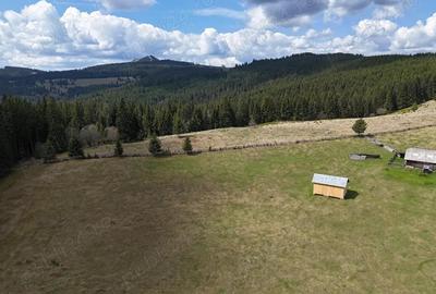 Teren de vanzare 15 hectare in Bucovina Moldova Sulita zona Lucina - 9