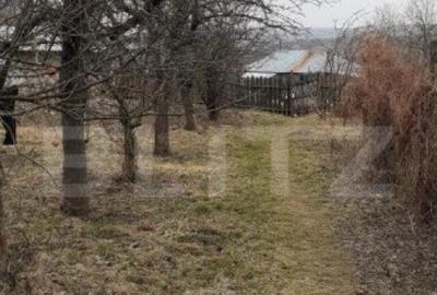 Casa batraneasca cu teren de 6700 mp intravilan, Ipatele - 1