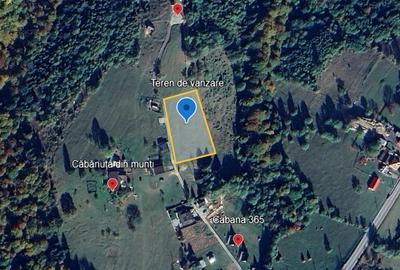 Teren Construcții intravilan de 3000 mp, în Moieciu - 1