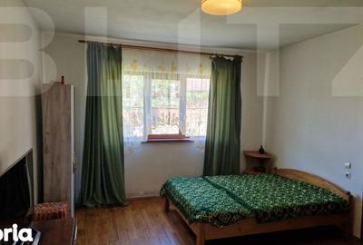 Casă cu 4 camere cu Teren 3166 Mp în Burjuc - 14