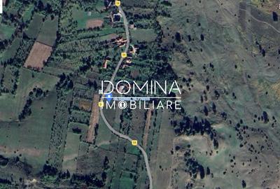 Teren Construcții intravilan de 3262 mp, în Baia de Fier - 8
