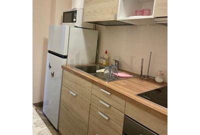 REA1025034 GARSONIERA DE INCHIRIAT I BANU MANTA - 6
