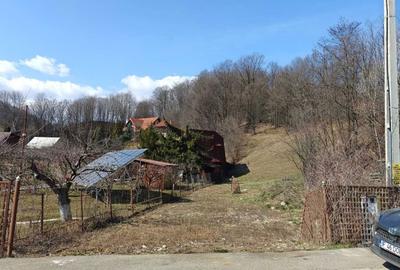 Teren de 1206 mp, în Exterior Vest - 2