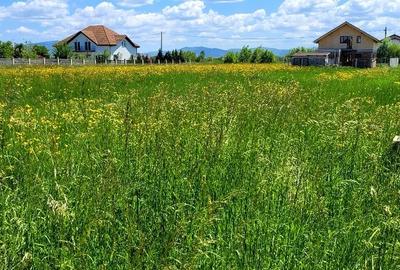 Teren Construcții intravilan de 5700 mp, în Hărman - 2
