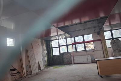 Spațiu industrial, de 320 mp, în Orlat - 2