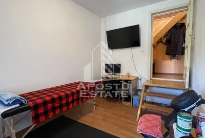 Casa Freidorf Timisoara - 7